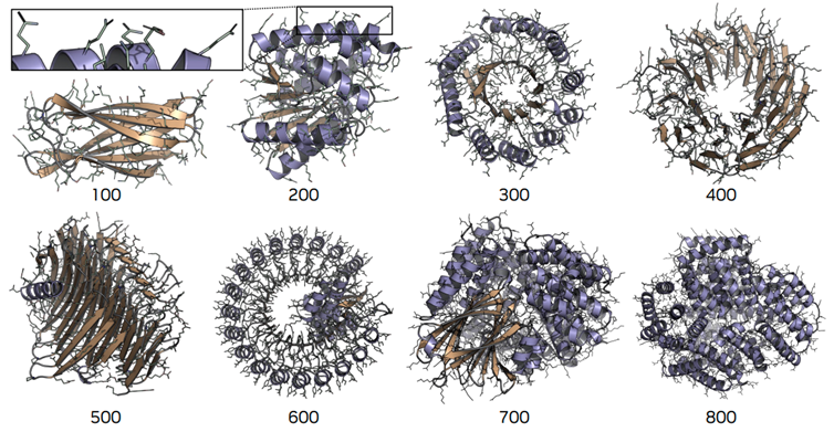 Atomistic Protein Designs