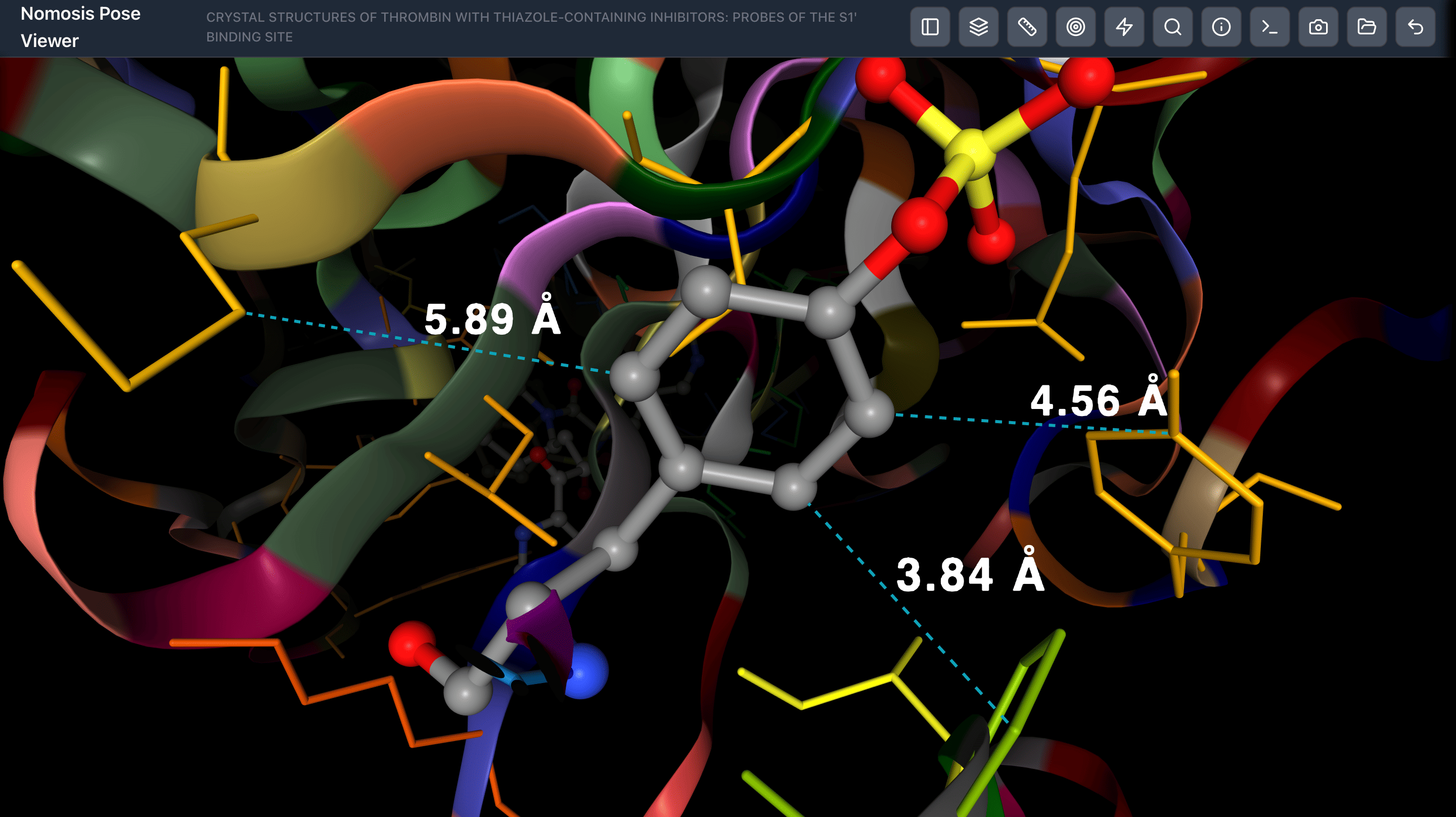 Docking Pose Visualization